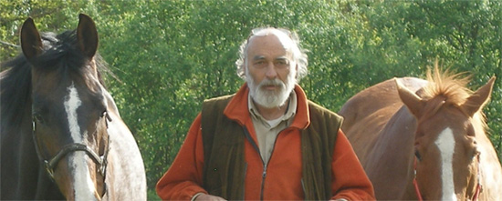 Gianni Gamberini Cavalgiocare